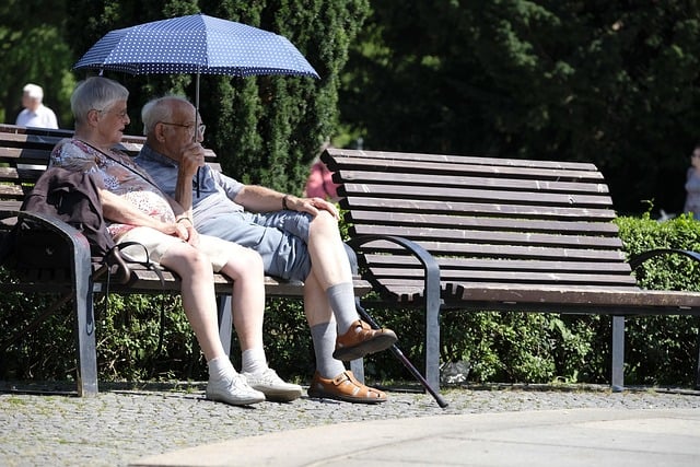 Qu’est-ce qu’une mise en pension ?
