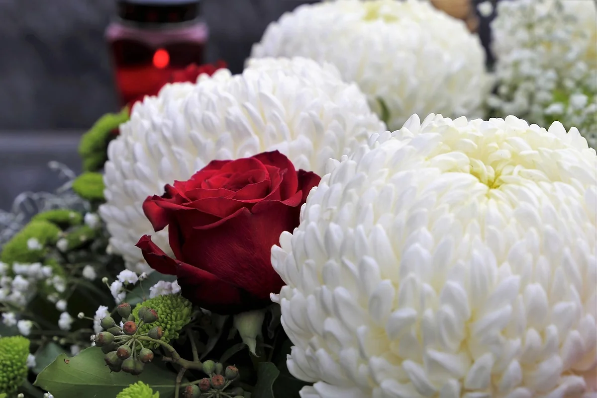 Pourquoi le chrysanthème est devenu la fleur des morts en France