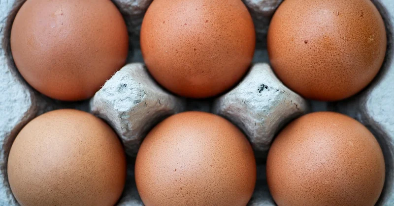 Comment conserver ses œufs correctement