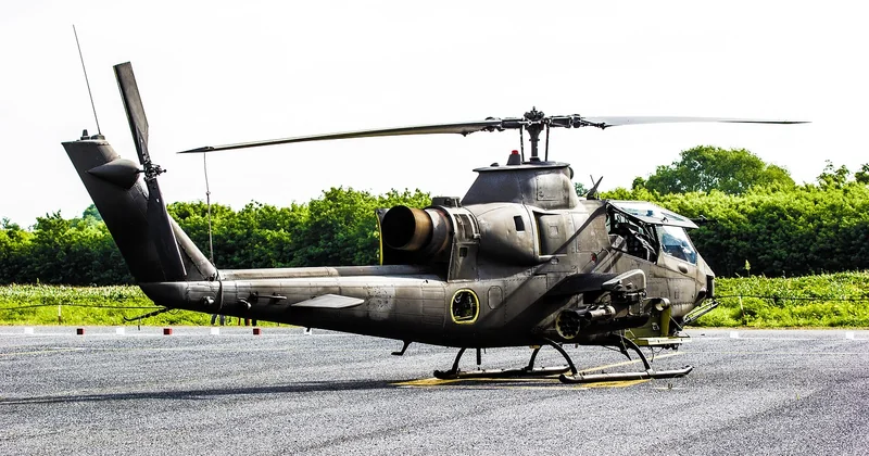 Vitesse et agilité : un cobra légèrement différent