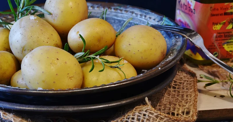 Huile d'olive, sel et le reste : ce qui influence la cuisson